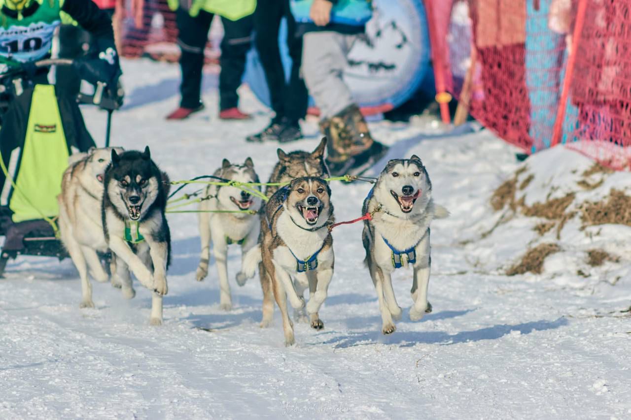 В поисках сокровищ леса #1 В поисках сокровищ леса #1