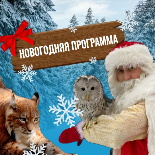 Страусзоопарк "В поисках Деда Мороза!"